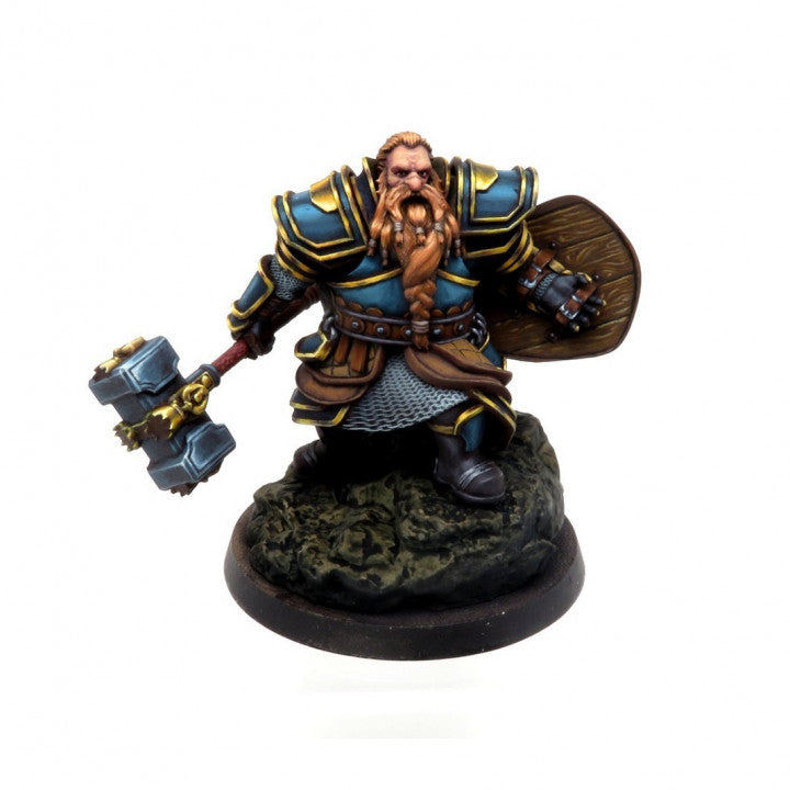 Dwarf Paladin